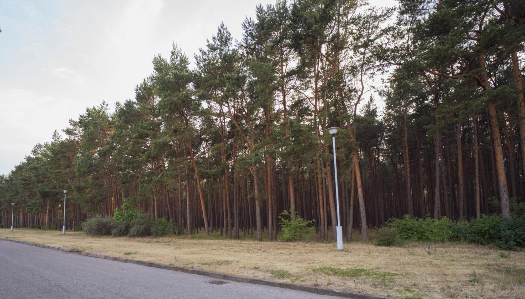 Vila Bite Паланга Екстер'єр фото